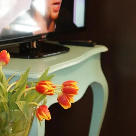 Plejady Проживание в семье