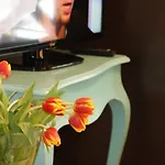 Plejady Alloggio in famiglia